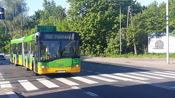 Autobus linii 168 przed przejściem dla pieszych.