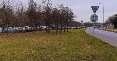 Ul. Szymanowskiego i pas trawy z drzewami po lewej stronie.