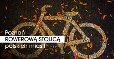 Grafika z narysowanym piktogramem roweru na ulicy, na którym leżą jesienne liści i napis "Poznań rowerową stolicą polskich miast!"
