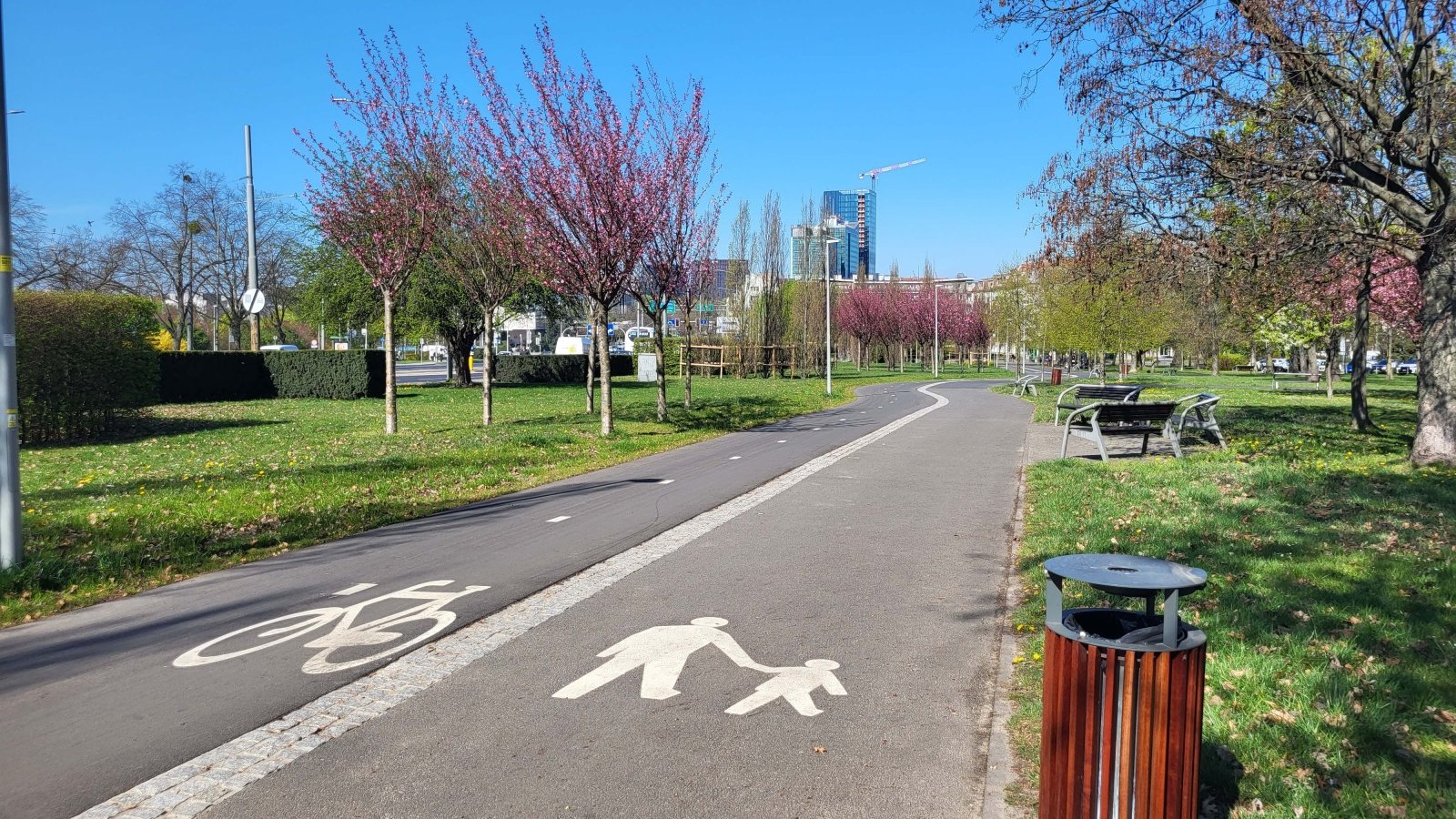 Droga pieszo-rowerowa prowadząca przez park, w tle budynki miejskie.