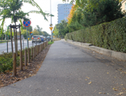 Rusza budowa nowej drogi rowerowej