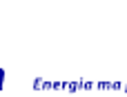 Laur Białego Tygrysa dla ENEA