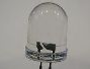 Sukces naukowców z Uniwersytetu im. Adama Mickiewicza