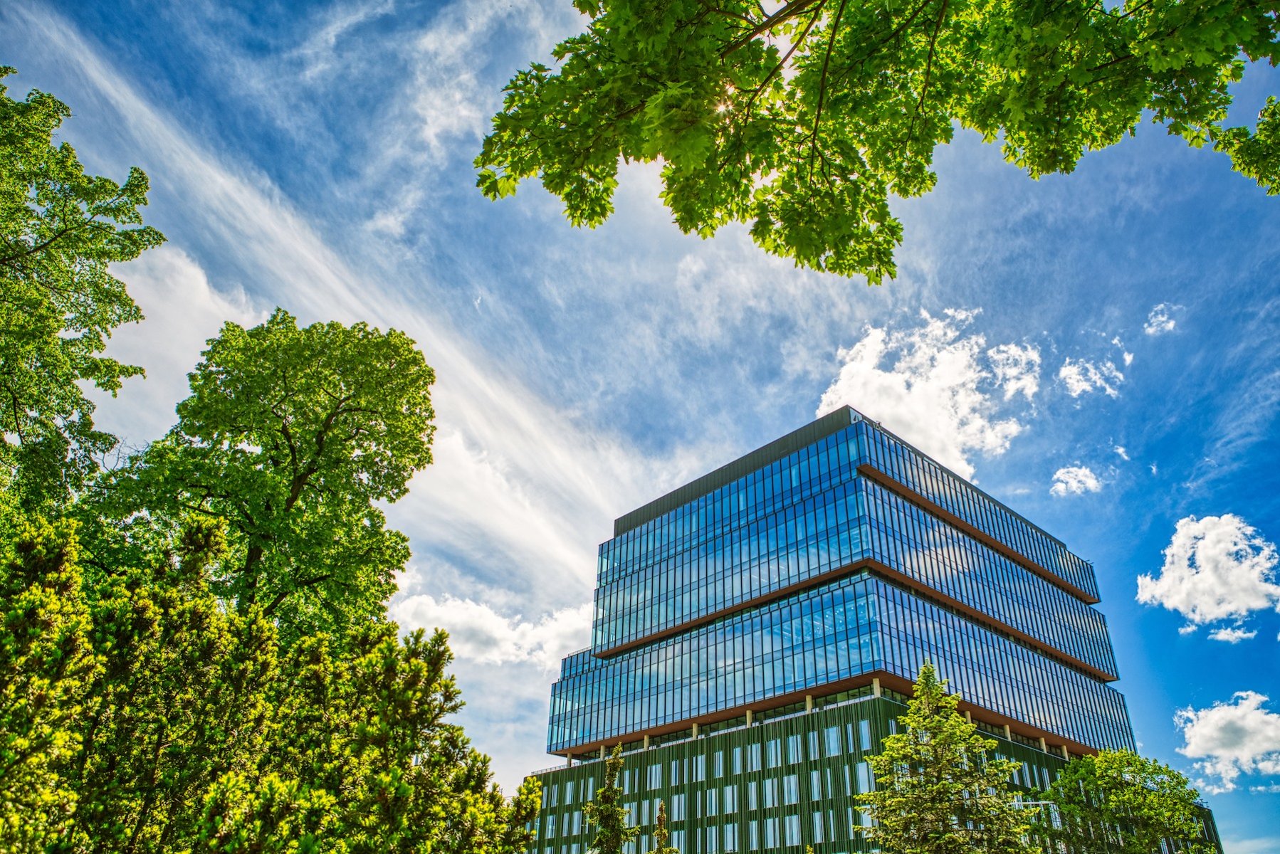 a glass building surrounded by trees