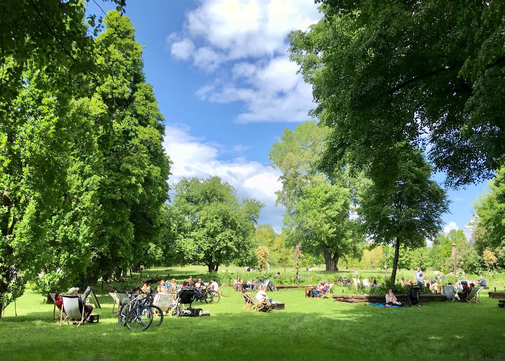 a group of people sitting in a park