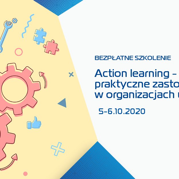 Action learning - praktyczne zastosowanie w organizacjach uczących się