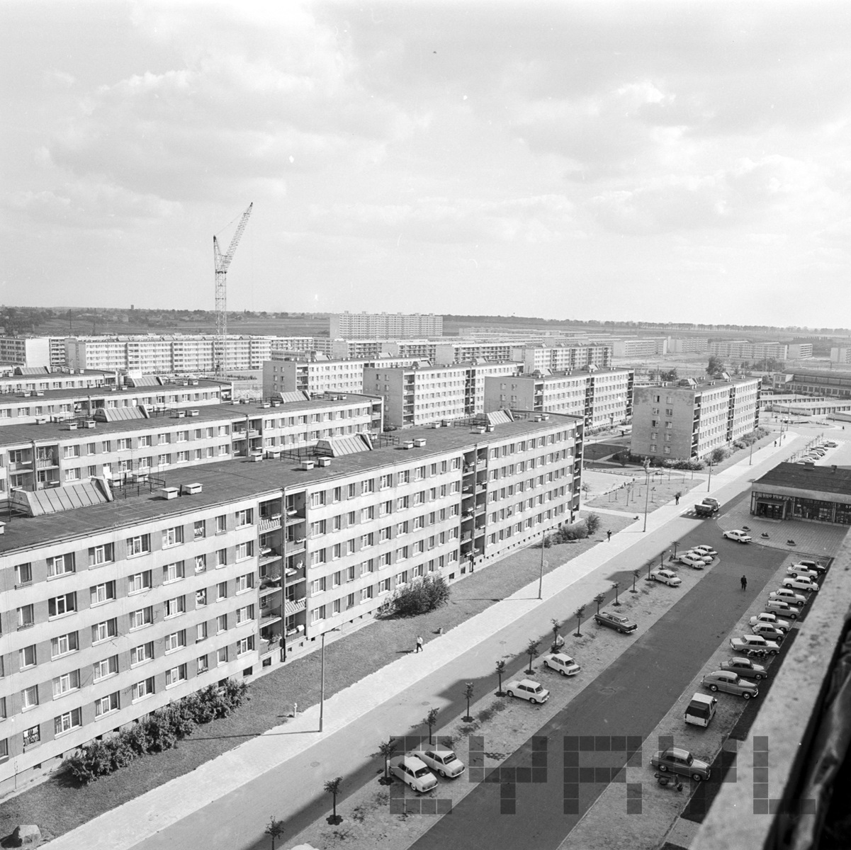 Osiedle Piastowskie, 1974 r., fot. S. Wiktor Czarno-białe zdjęcie bloków mieszkalnych stojących równolegle do siebie. Przed blokami parking samochodowy, chodnik i trawnik.