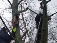 Dbamy o ptaki - trwają prace przy budkach lęgowych