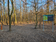 Leśne "Ścieżki relaksu"