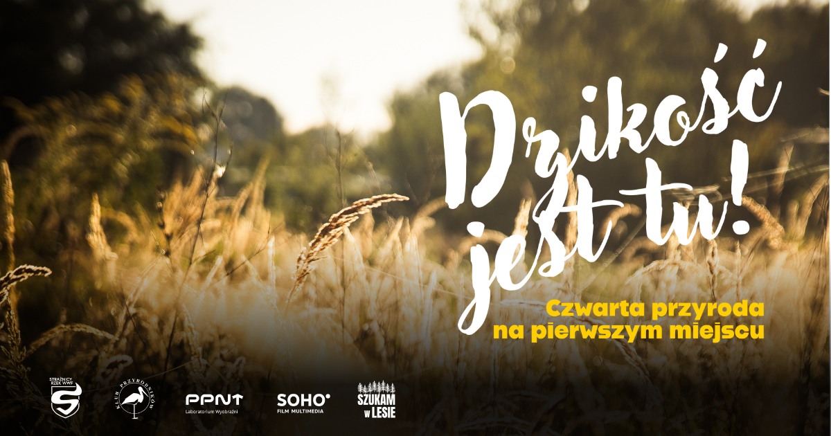 Na grafice znajduje się tekst "dzikość jest ty! Czwarta przyroda na pierwszym miejscu" a w tle zdjęcie pola pszenicy