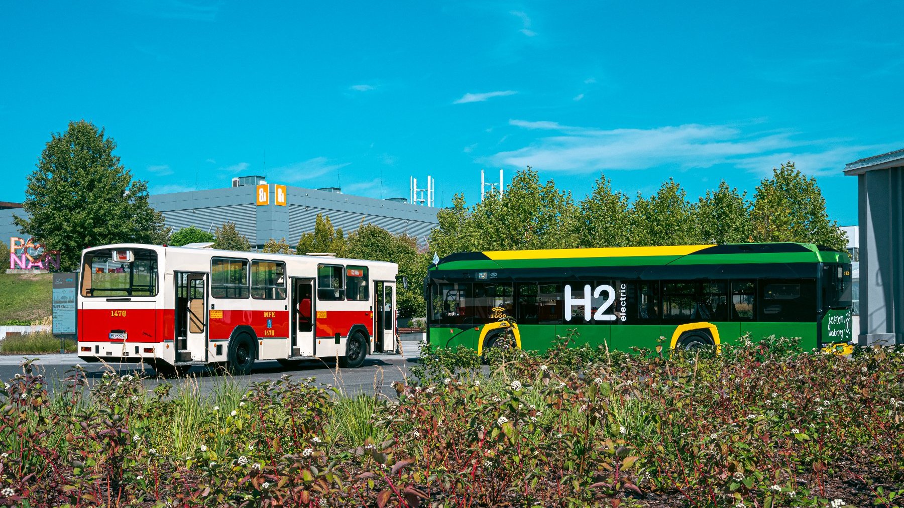 Już w niedzielę 14 września wyruszy parada 30 autobusów! / MPK Na pierwszym planie niskie krzewy. Za nimi dwa autobusy. Po lewej stary biało-czerwony autobus miejski z otwartymi drzwiami. Po prawej nowy zielono-żółty autobus na wodór. W tle budynki Targów Poznańskich.