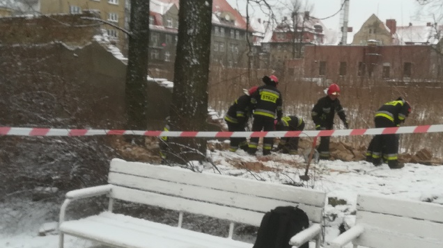 Katastrofa budowlana na terenie Parku Wilsona