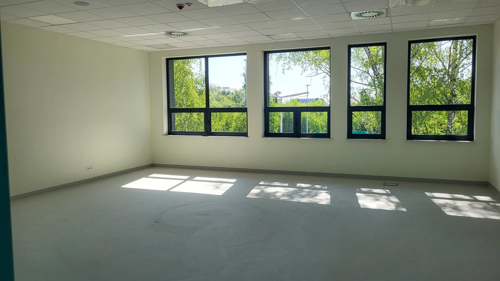 Na zdjęciu znajduje się pusta sala lekcyjna z dużymi oknami, przez które wpada naturalne światło. Za oknami widać drzewa. Pomieszczenie ma jasne ściany, sufit z paneli i gładką, jasną podłogę. - grafika artykułu