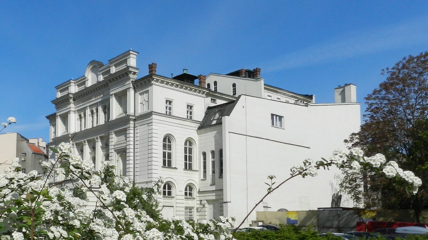 Zdjęcie Teatru Polskiego, na pierwszym planie krzak z białymi kwiatami