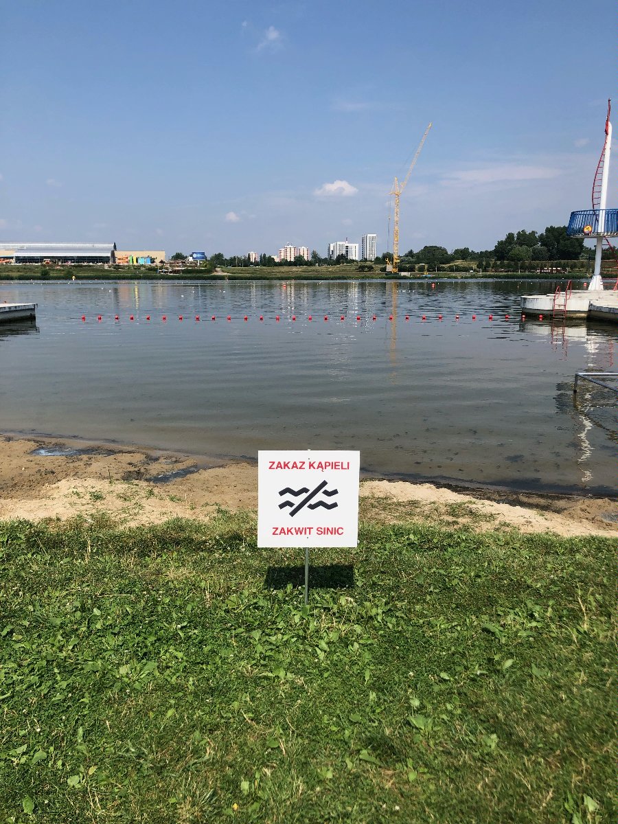 Zdjęcie przedstawia kąpielisko nad Jeziorem Maltańskim. Na pierwszym planie widać tabliczkę z napisem "zakaz kąpieli". - grafika artykułu