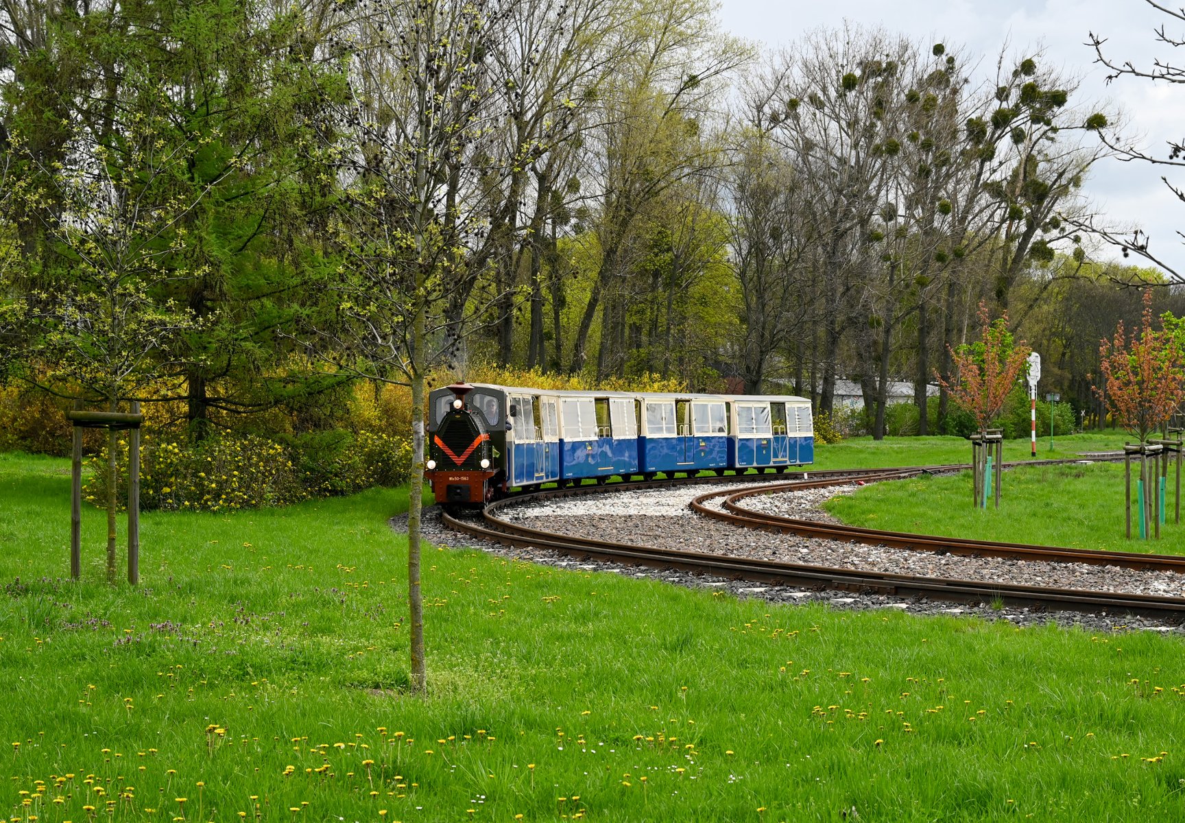 Kolejka Parkowa Maltanka - grafika artykułu