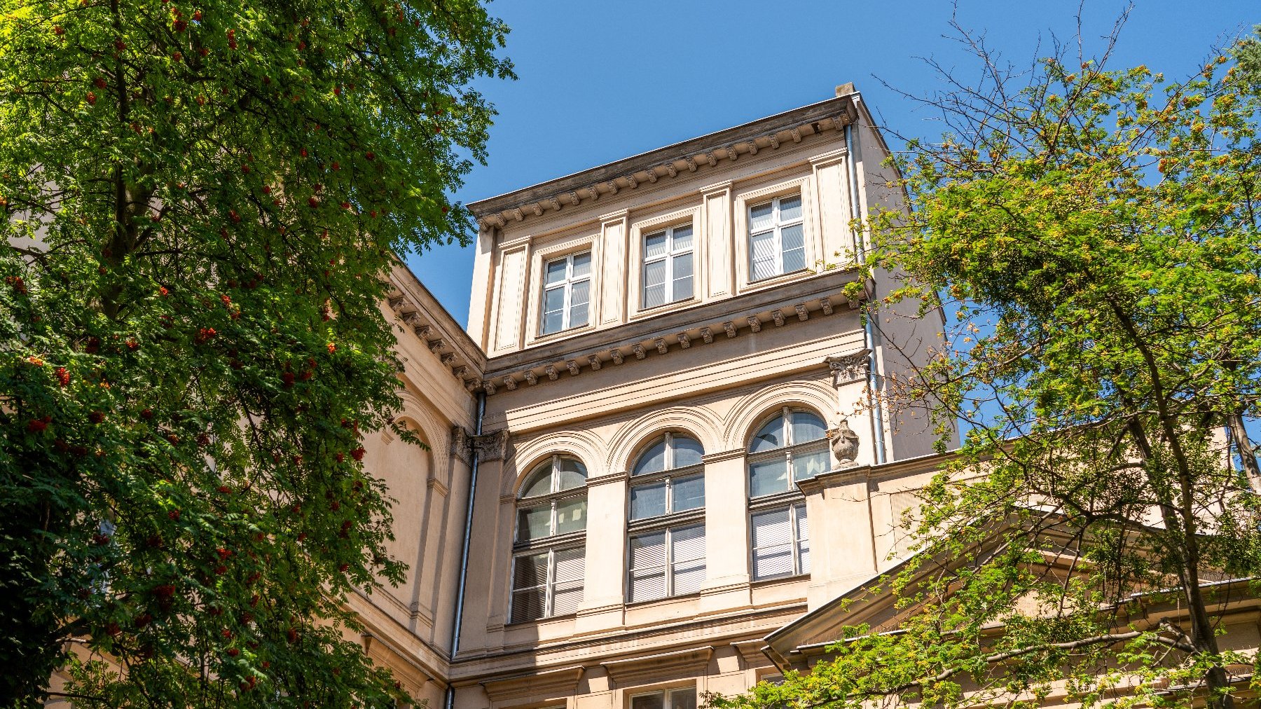 Fasada zabytkowego budynku w Poznaniu, z dużymi, łukowatymi oknami na niższych piętrach i prostokątnymi na wyższych. Budynek jest otoczony zielonymi drzewami, a nad nim rozciąga się bezchmurne, błękitne niebo.