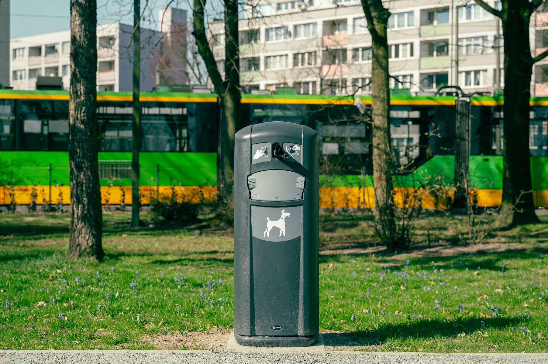 Szary kosz na psie odchody z piktogramem psa, stojący na tle zielono-żółtego tramwaju MPK Poznań i drzew. W tle widoczne są bloki mieszkalne. Kosz znajduje się na trawniku. - grafika artykułu