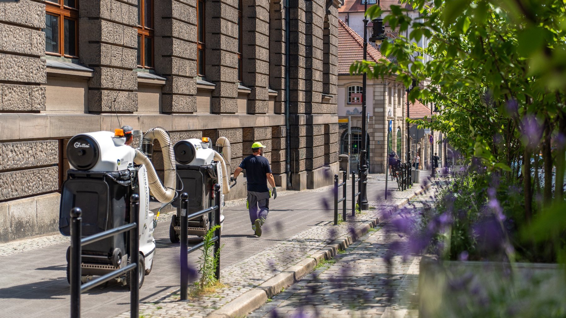 Na zdjęciu maszyny czyszczące na ul. Paderewskiego, na pierwszym planie rośliny