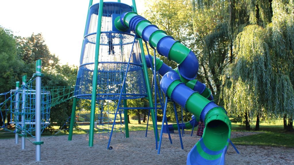 Zdjęcie przedstawia