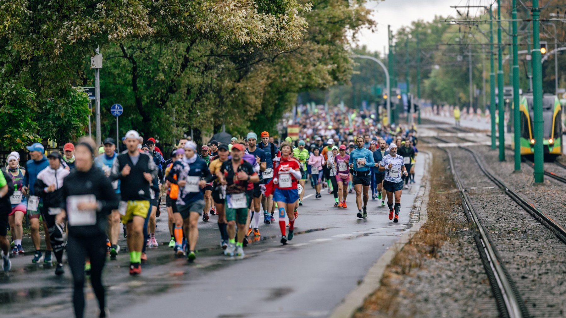 Biegacze na trasie maratonu