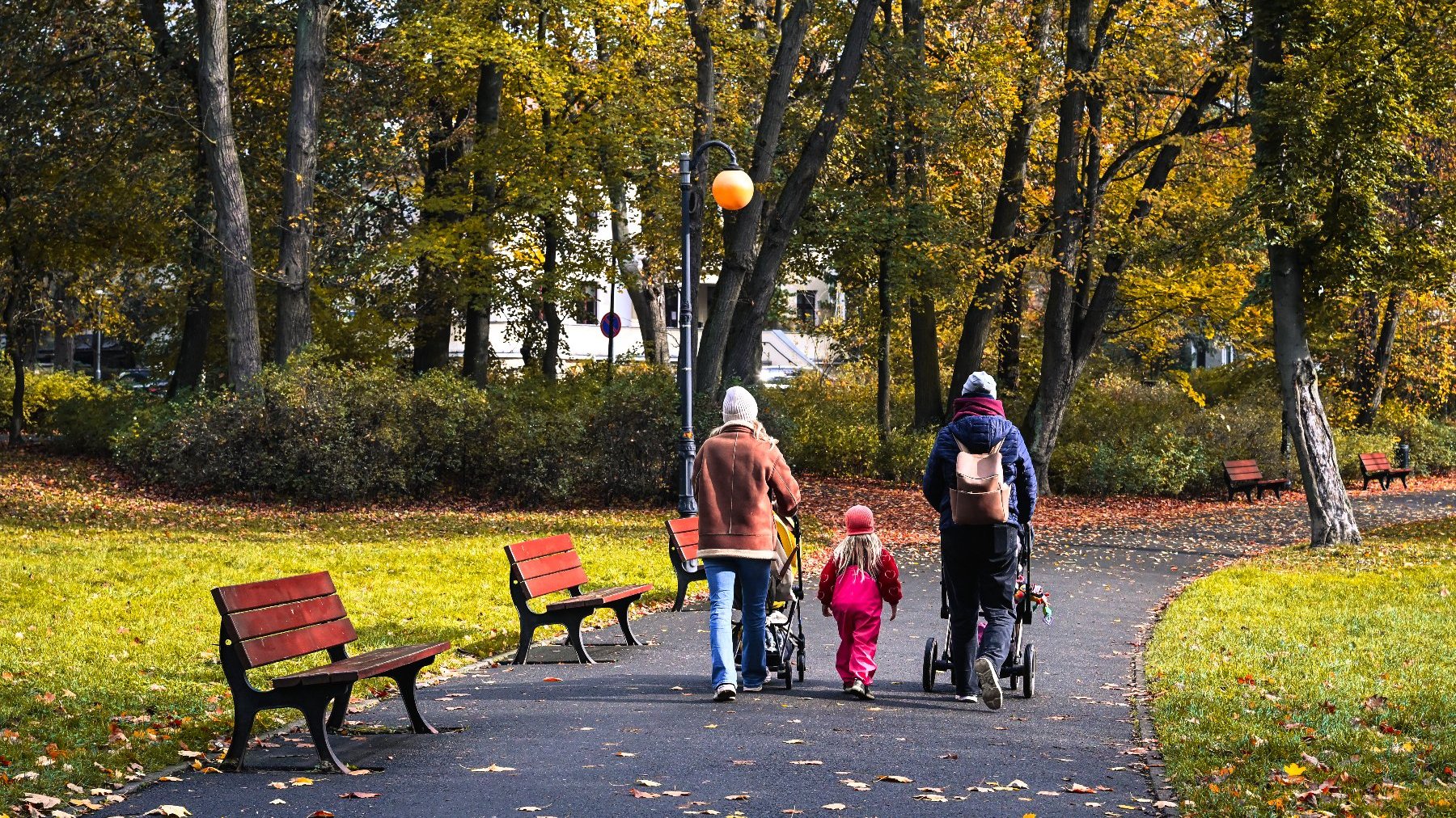 Zdjęcie przedstawia alejkę parkową wśród drzew, po której spaceruje rodzina - dwójka dorosłych i dziecko. Dorośli pchają wózki dziecięce. Wszyscy idą tyłem do aparatu. Przy alejce stoją ławki, latarnie i kosze na śmieci.