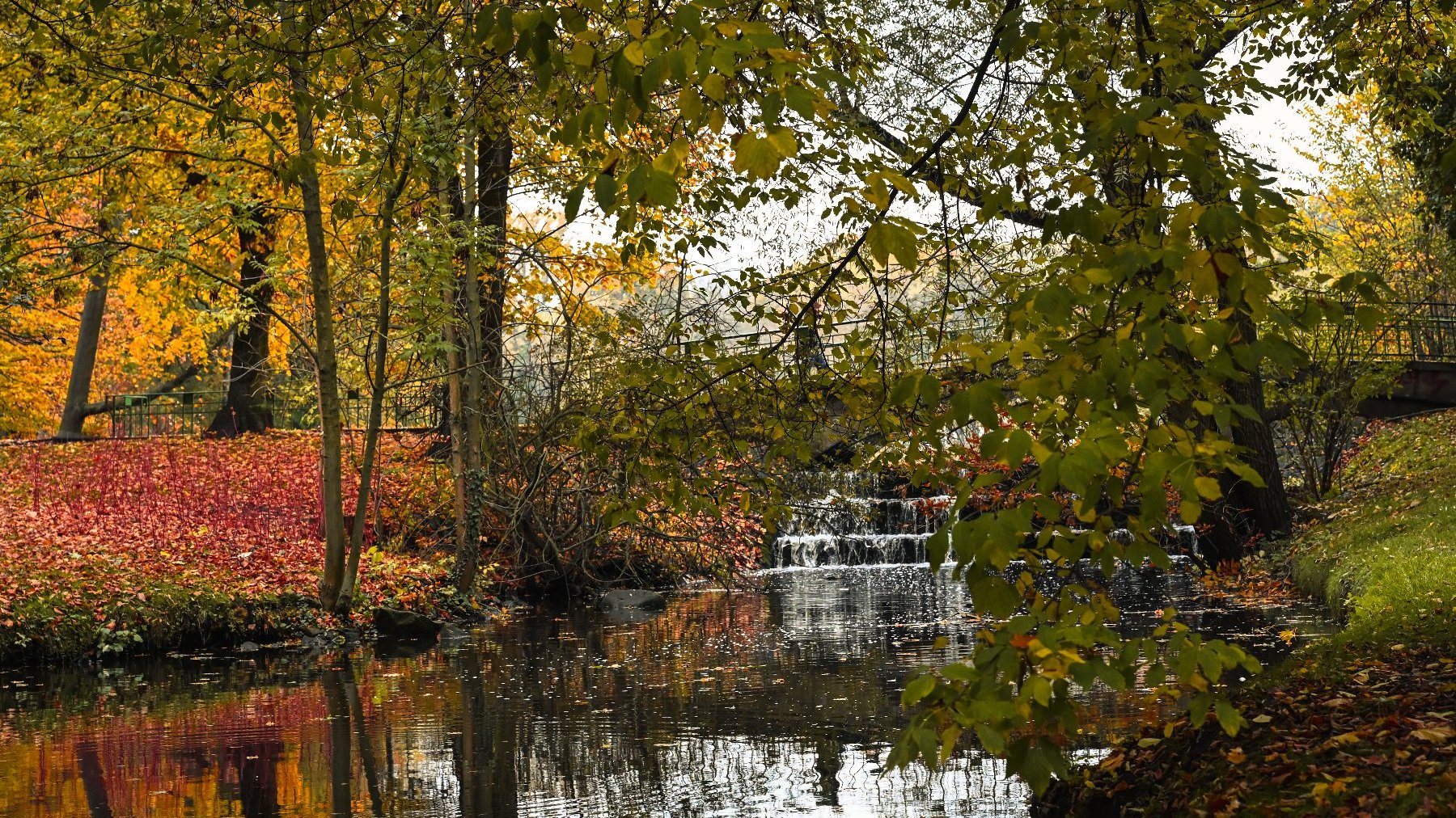Zdjęcie przedstawia rzeczkę. Wokół widać drzewa, leżące na ziemi liście i mostek.