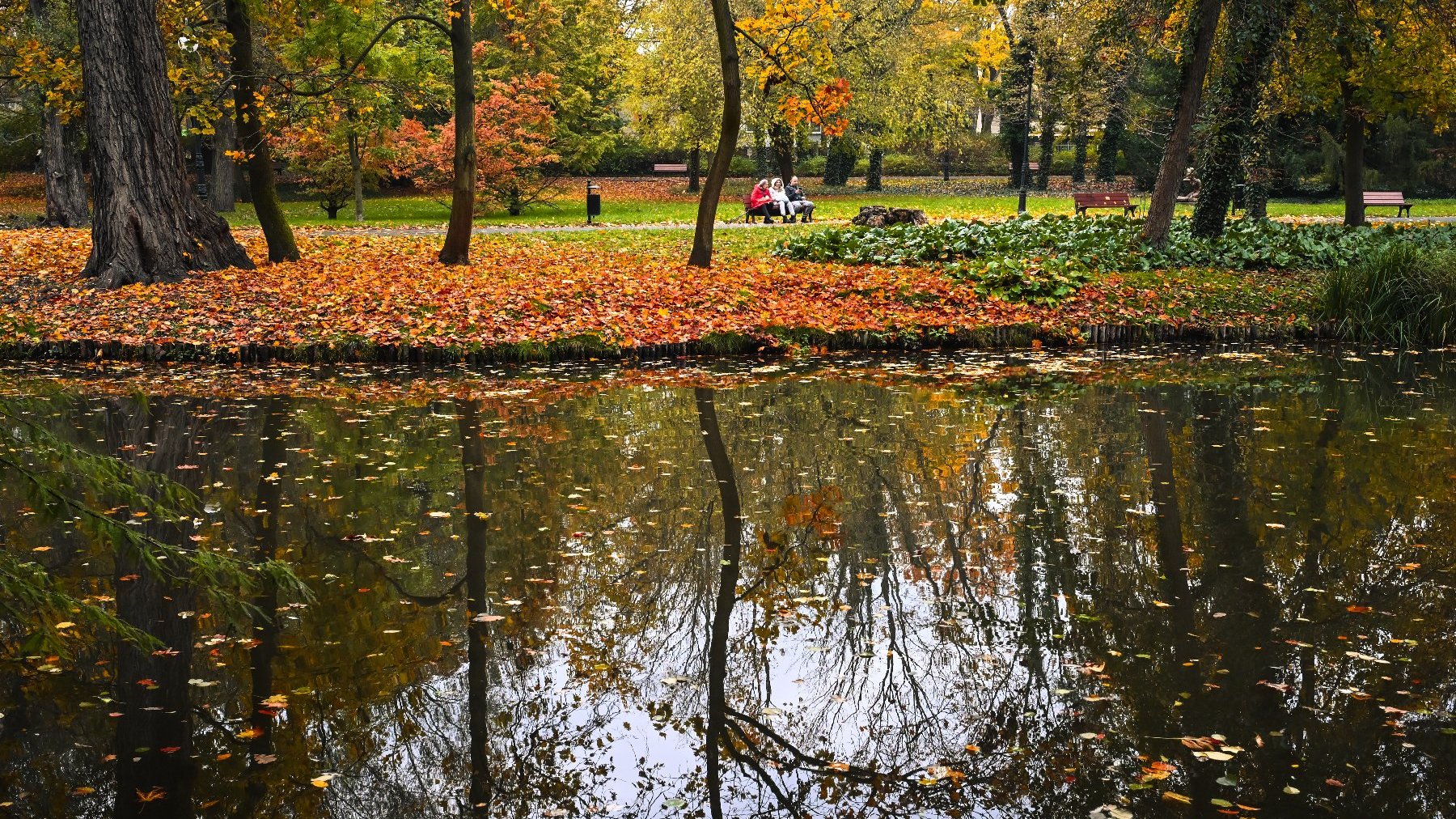 Zdjęcie przedstawia staw, drzewa i leżące na ziemi liście. W oddali widać parkowa alejkę i ławkę, na której siedzą trzy osoby.
