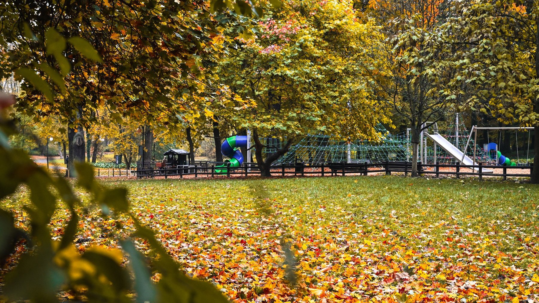 Zdjęcie przedstawia plac zabaw, drzewa i leżace na ziemi liście.