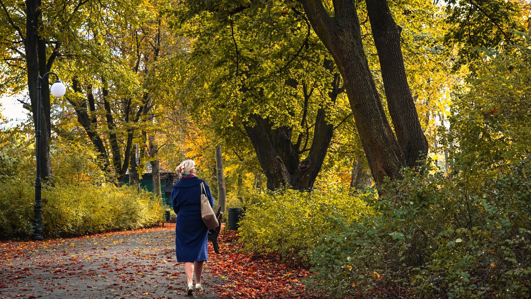 Zdjęcie przedstawia kobietę z torebką idącą alejką parkową wśród drzew.