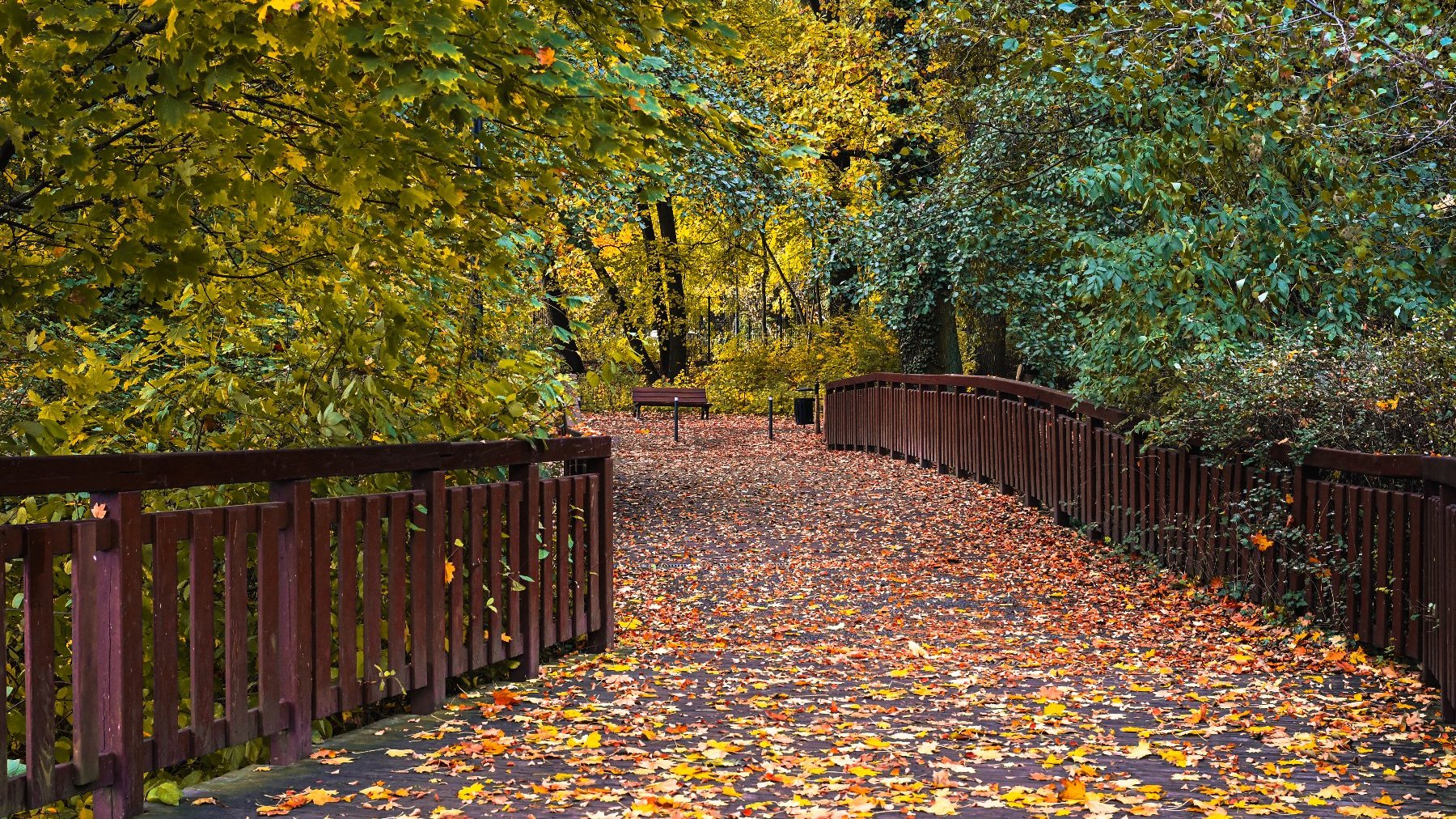 Zdjęcie przedstawia mostek z perspektywy osoby idącej po tym mostku. Na ziemi leżą liście.