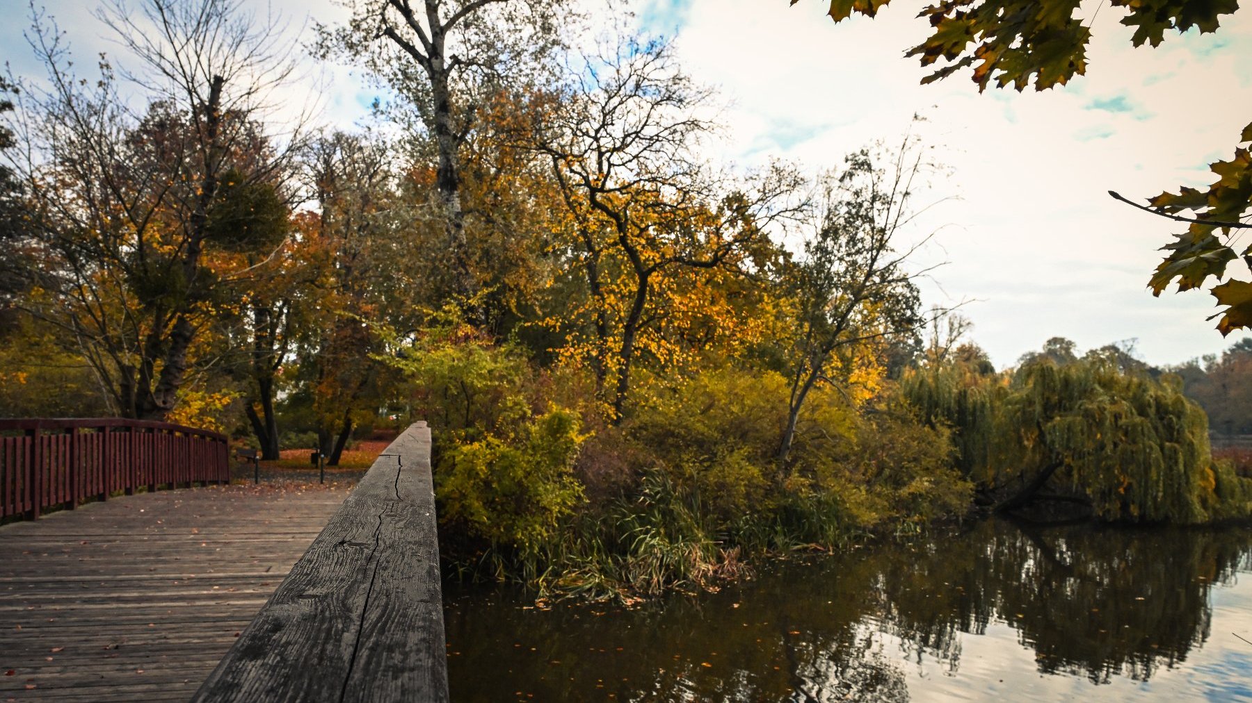 Zdjęcie przedstawia mostek i staw. Wokół rosną drzewa.