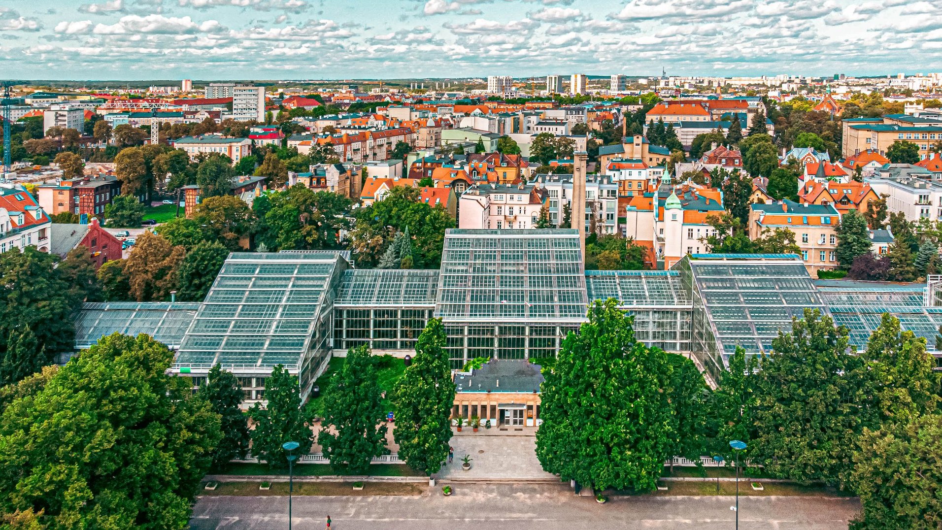 Zdjęcie przedstawia budynek Palmiarni Poznańskiej z lotu ptaka.