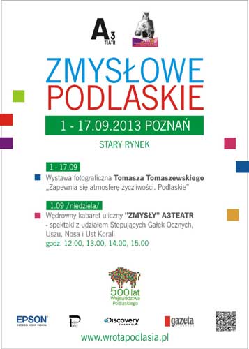 plakat - grafika artykułu