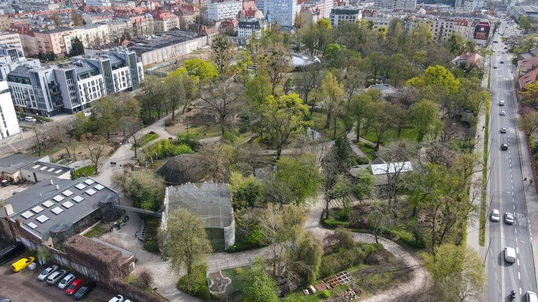 Zdjęcie przedstwia teren starego ogrodu zoologicznego w Poznaniu z lotu ptaka.