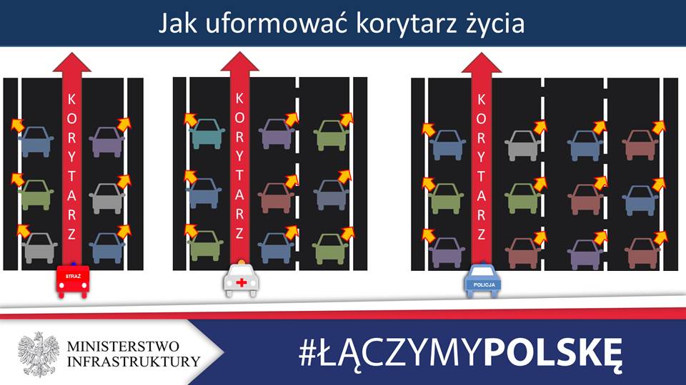 Tworzenie korytarzy życia - grafika artykułu