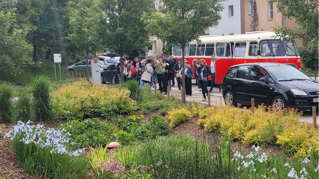 Uczestnicy konferencji oglądają skwer z nowymi nasadzeniami roślin.
