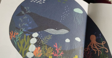 Na ilustracji widać podwodny świat - płynie wieloryb, ośmiornica, ławica rybek i meduza, na dnie rosną kolorowe rośliny.