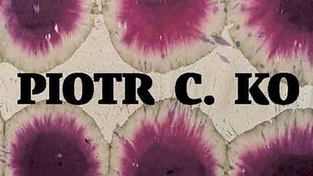 Okładka książki z motywem fioletowych owoców.