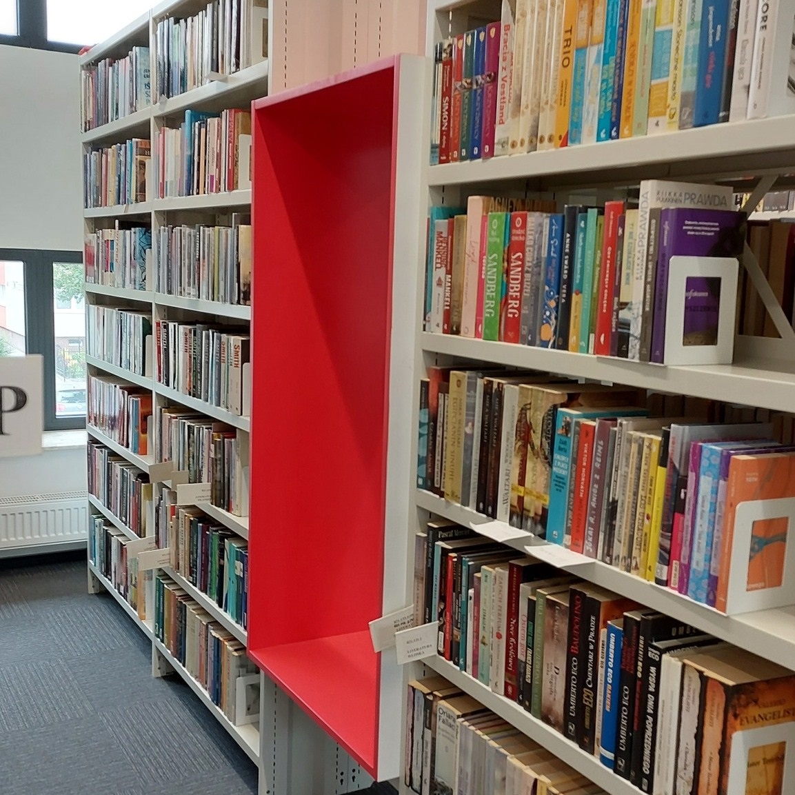 wnętrze biblioteki, fragment półek z książkami - grafika artykułu