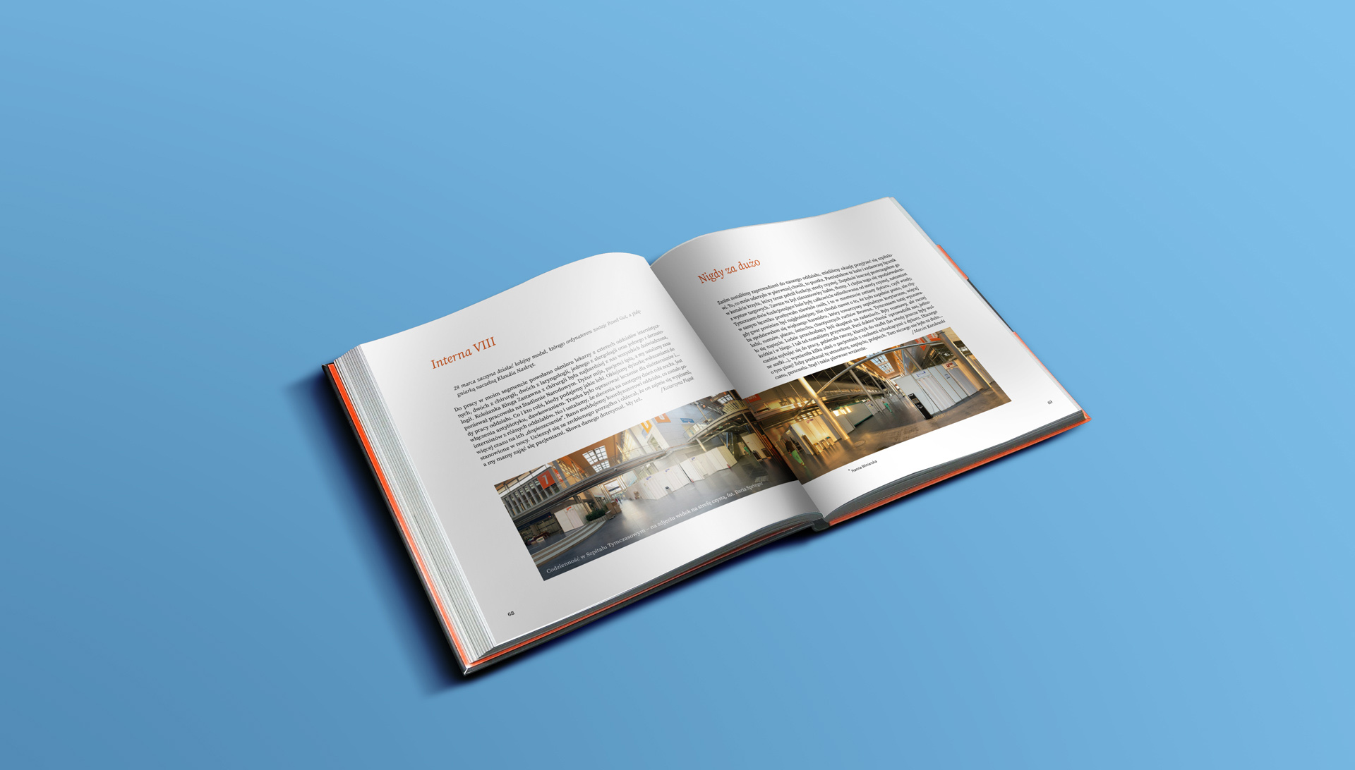 Nasz Tymczasowy - grafika artykułu