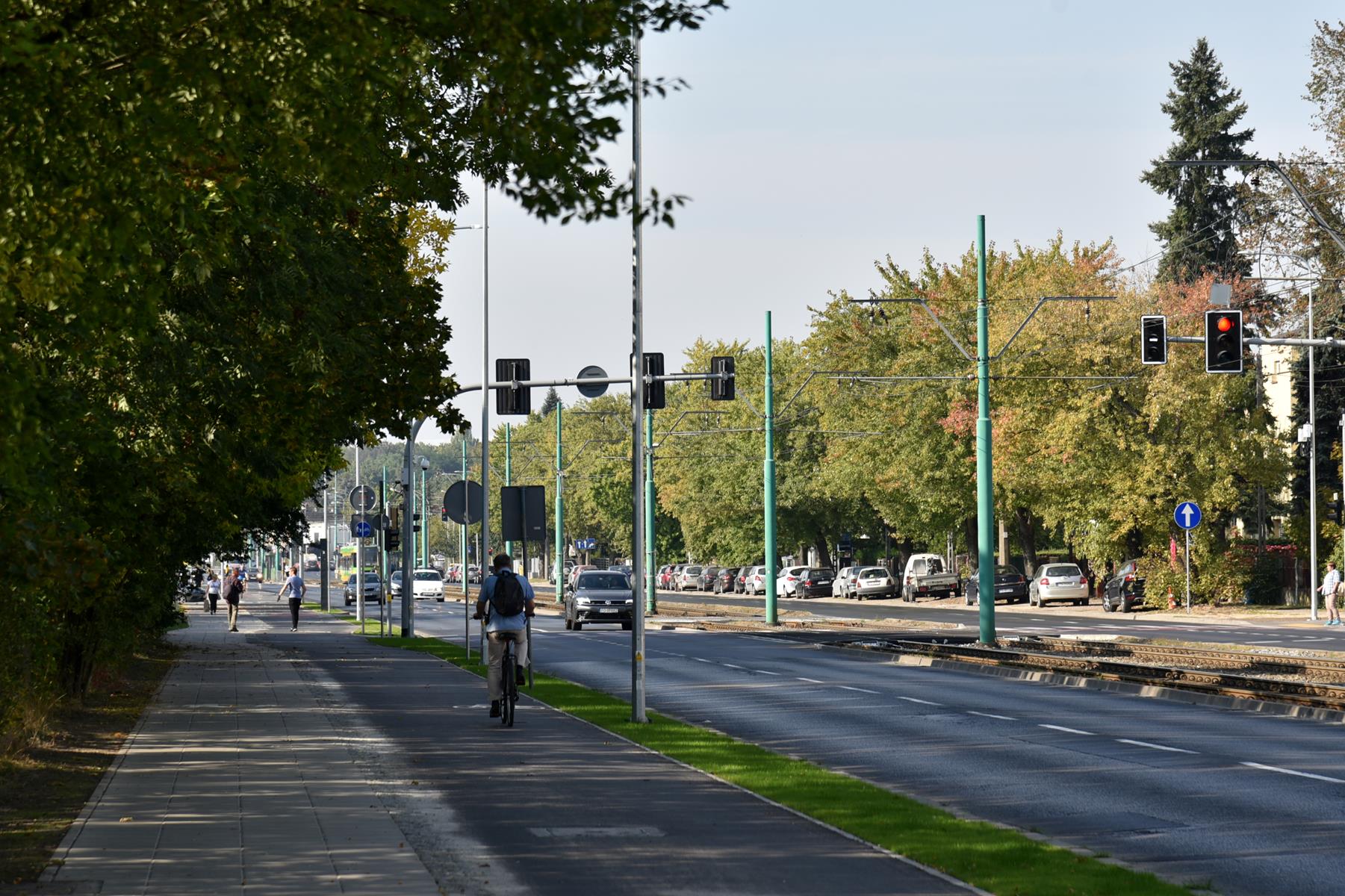 Nowa droga rowerowa wzdłuż ul. Grunwaldzkiej. Po lewej stronie drzewa, po prawej - ulica i tory tramwajowe - grafika artykułu