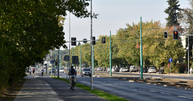 Nowa droga rowerowa wzdłuż ul. Grunwaldzkiej. Po lewej stronie drzewa, po prawej - ulica i tory tramwajowe