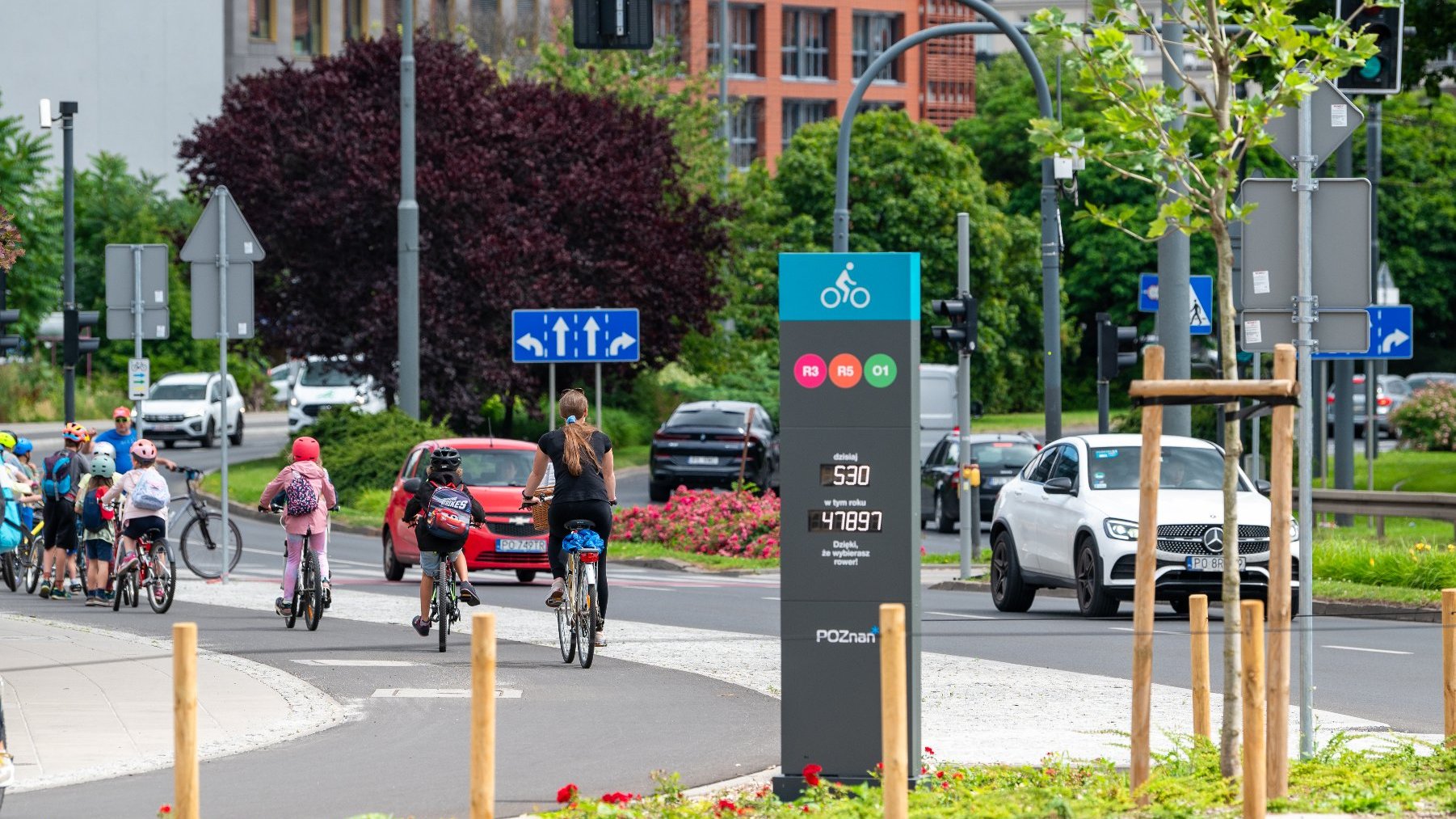 Młodzi rowerzyści na drodze rowerowej przy ul. Solnej