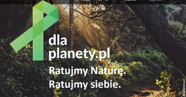 Miasto Poznań przyłącza się do kampanii "Zielona Wstążka #DlaPlanety"