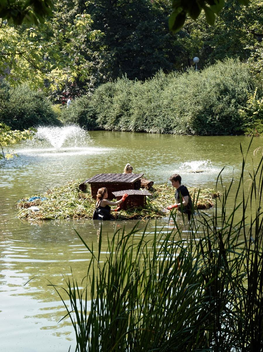 Na zdjęciu znajdują się przedstawiciele Fundacji OnWater.pl, którzy montują ogród pływający na stawie w parku Wilsona - grafika artykułu