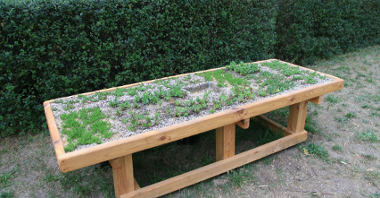 Przedszkolny plac zabaw. Na zdjęciu widać "żywy stół" - czyli drewniany stół obsadzony roślinnością.