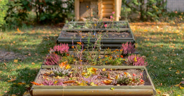 Zdjęcie przedstawia drewniane rabaty z kwiatami i innymi roślinami.