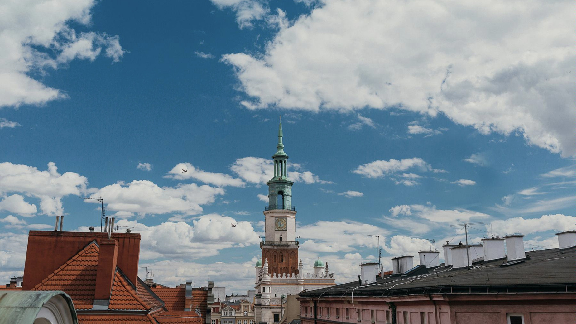 Panorama Poznania, na pierwszym planie dachy kamienic, w centrum wieża Ratusza, u góry błękitne niebo, na nim białe chmury - grafika artykułu