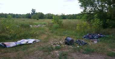 Galeria zdjęć przedstawia wysypane na trawie śmieci.